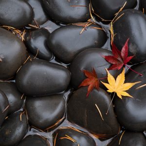 zen, rocks, leaves, fall, Oregon