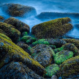 maine, blue, green, rocks, coastline, landscape photography