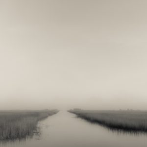 ace basin, marsh, south carolina, beaufort, tidal creek,