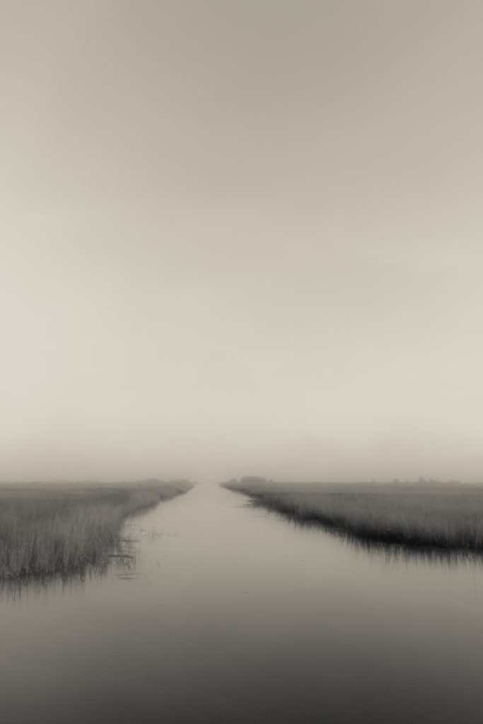 Ace Basin BW