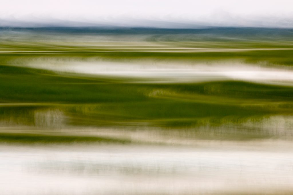 High Tide