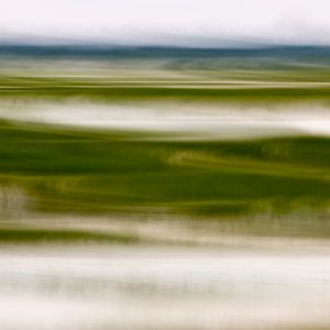 High Tide