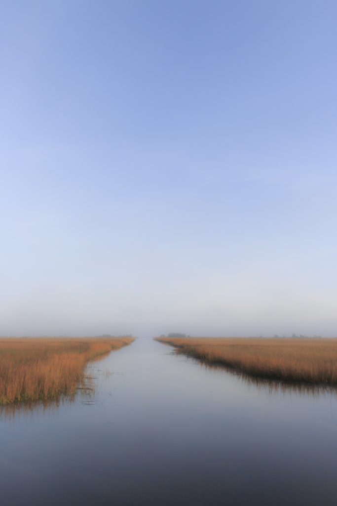 Ace Basin