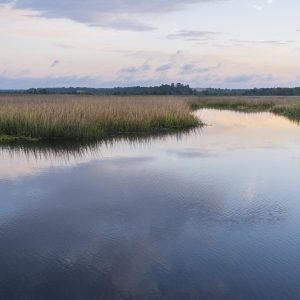 ace basin, sunrise, marsh photography, beaufort, south carolina, landscape photography