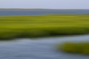 Marsh, Abstract