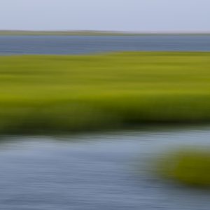 Marsh, Abstract