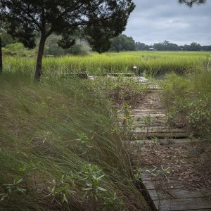 dock, marsh, lowcountry, green, blue,tidal creek