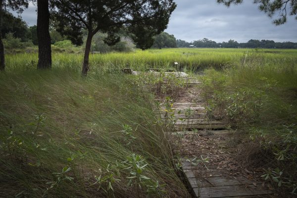 dock, marsh, lowcountry, green, blue,tidal creek