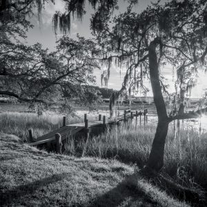 Marsh Kiss