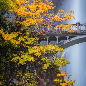 Fall in Oregon