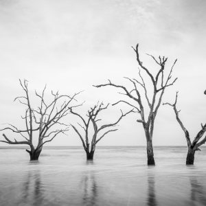 Four Sisters