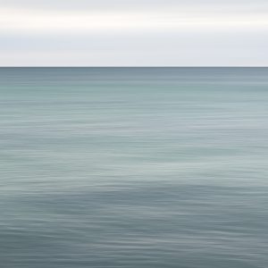Seas the Day